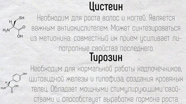 Краткое описание основных функций, которые выполняют аминокислоты в нашем организме
