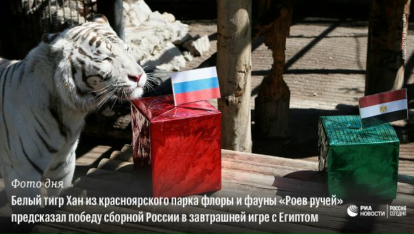 #РИА_ФотоДня