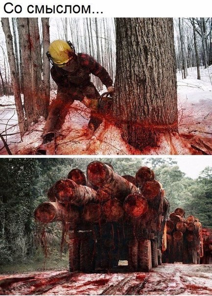 #Деревья_умирают_Стоя