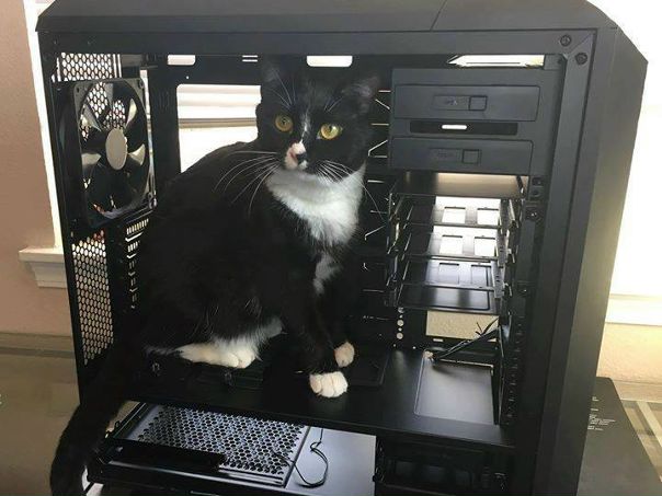 Всем добра от MasterCat Pro 5! 