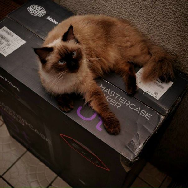 MasterCase Maker 5t просто прррекррррасный коррррпус! Мы не шутим  