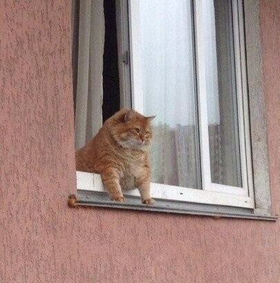 Это я пытаюсь выйти на утреннюю пробежку
