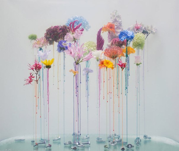 Flower Magazine