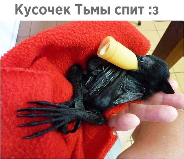 Спокойной Ночи!