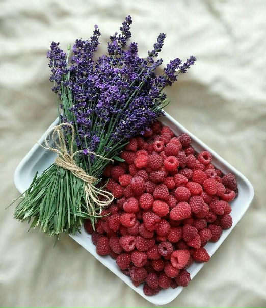 #myjane #позитив