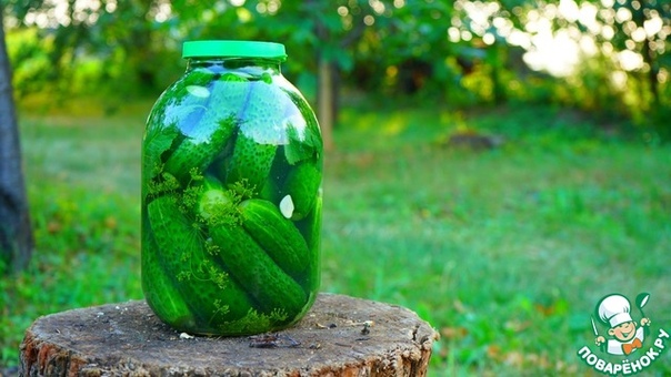 Малосольные огурцы в банке