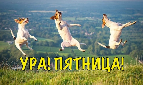 Пятничные приветы и поздравления пишем прямо тут!)