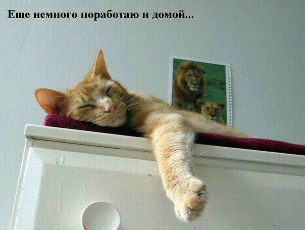 Приветы и поздравления прямо сюда пишем!)