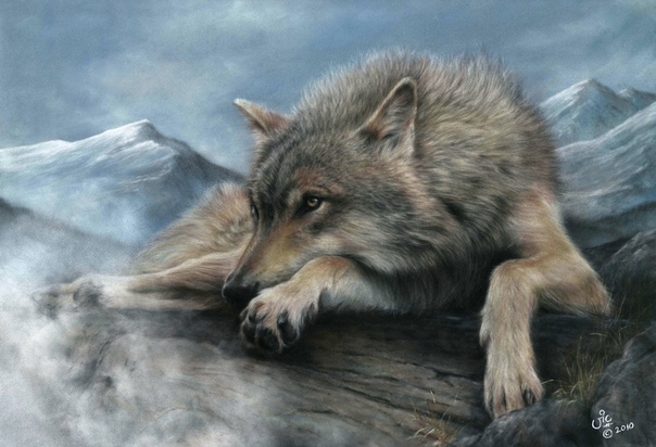 Vic Bearcroft