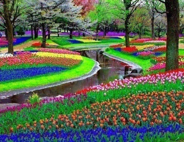 Парк Keukenhof неподалеку от Амстердама, Нидерланды