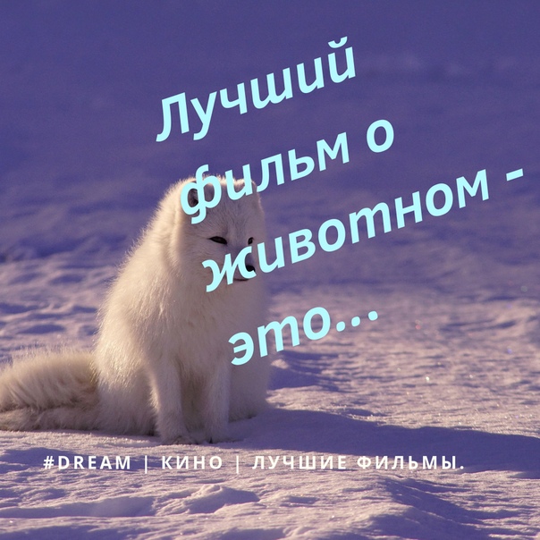 Подписаться на новости сообщества можно здесь  