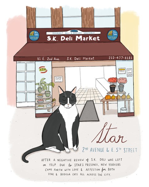 Illustrator Sunny Eckerle