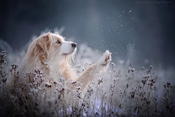 Austrian photographer Anne Geier