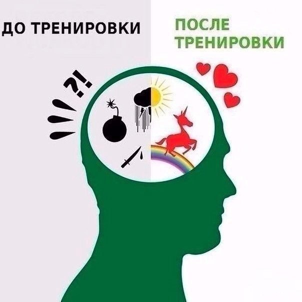 Чистая правда 