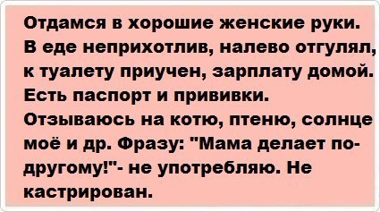 идеальный мужчина )