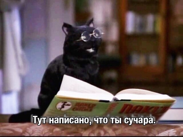 Мое тотемное животное.