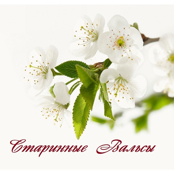 Для Души...