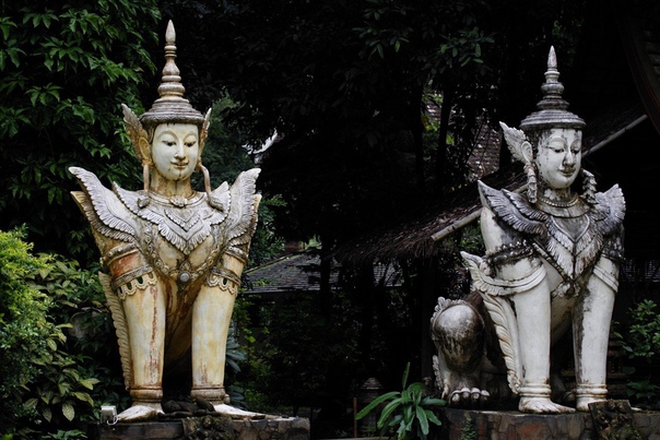 Chiang Mai