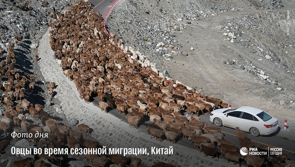#РИА_ФотоДня