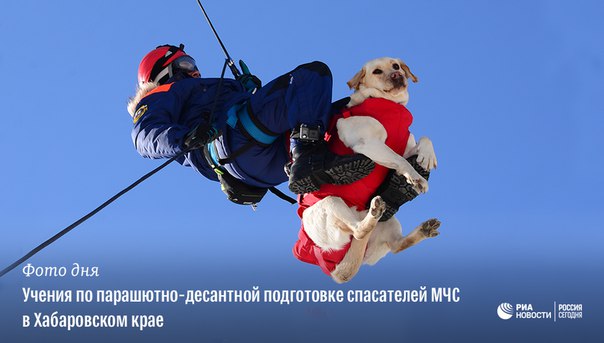 #РИА_ФотоДня