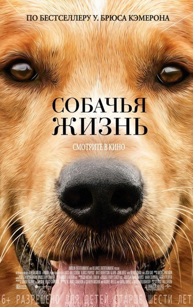 Мир собачьими глазами увидать мы сможем с вами!
