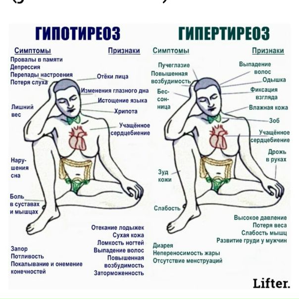 Проблемы со щитовидной железой бывают такими: