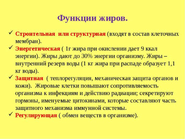 Роль жиров в организме.