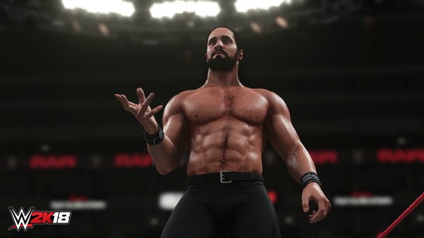 2K Games опубликовала первые скриншоты симулятора реслинга WWE 2K18. У игры будет новый или усовершенствованный движок, который позволит реализовать более продвинутое освещение и сделать кожу бойцов более реалистичной. 
