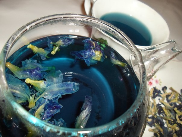 Синий чай из Тайланда