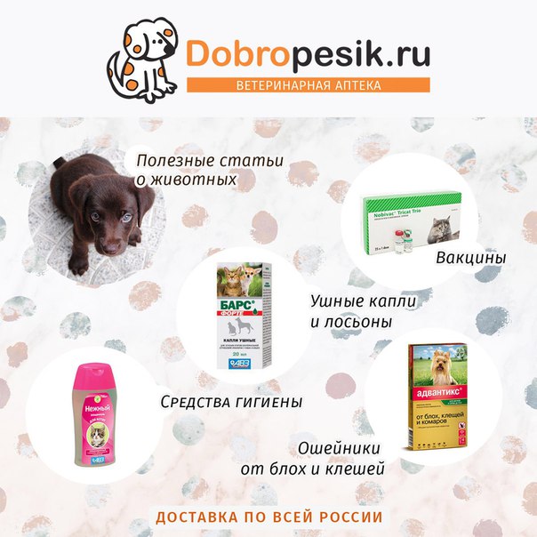 В нашей интернет-аптеке вы найдёте только сертифицированные лекарства для животных, высококачественные лечебные корма для кошек и собак, а так же другие товары для своих питомцев от лучших российских и зарубежных производителей! 