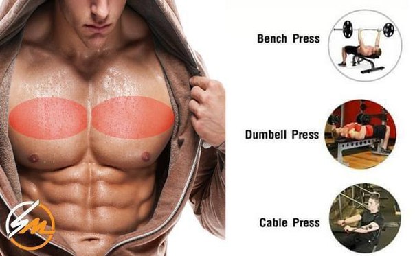 Эффективные упражнения для каждой области грудных мышц.