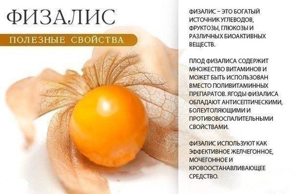 Польза оранжевых продуктов 