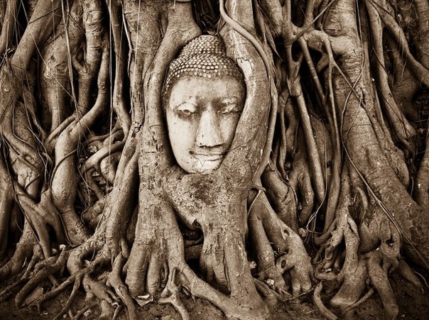 Духовные корни, Таиланд