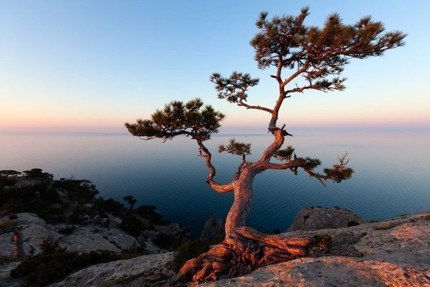 Рассвет на берегу Черного моря у поселка Новый Свет, Крым, Украина