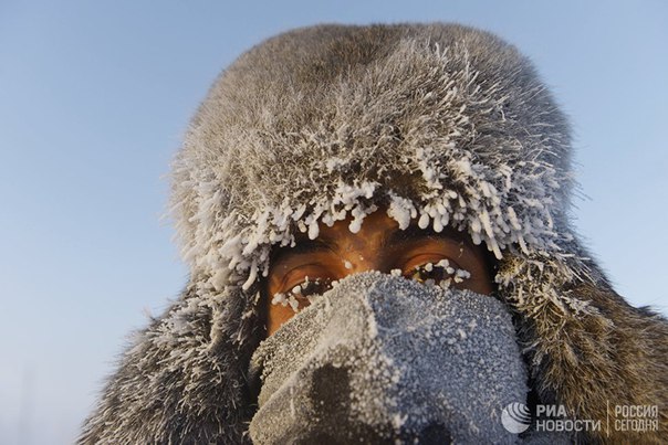 На этой неделе в Якутию пришли рекордные морозы. Температуру в минус 56 градусов зафиксировали 15 января в Верхоянске и Батагае. Днем ранее в Оймяконе столбики термометров упали до отметки в —56,60 градусов. Как переживают 