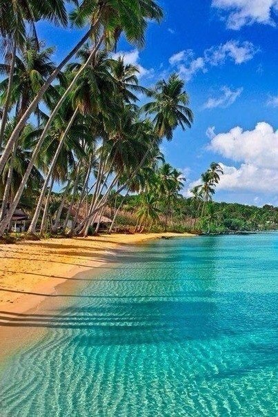 Идеальный Карибский пляж.