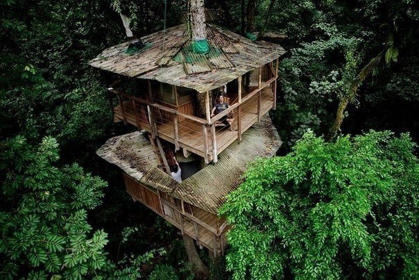 Отель в лесу, Коста-Рика