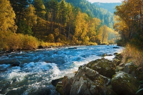 Река Чемал, Алтай, Россия