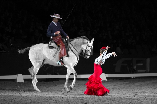  Андалузские лошади и музыка фламенко будут покорять сердца зрителей Фестиваля «Спасскую башню»!