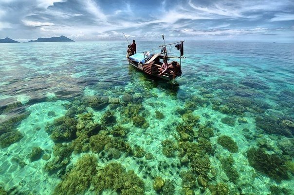 Рыбалка над рифами у побережья острова Сулавеси, Индонезия.