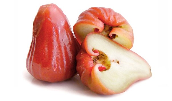Розовое яблоко — экзотический фрукт в форме колокольчика