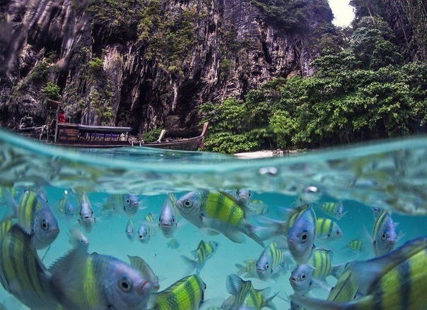 Подводная жизнь острова Poda, Тайланд
