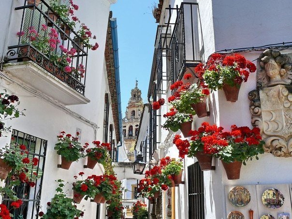 Цветы на стенах домов в старинном городе Ситжесе, Каталония, Испания